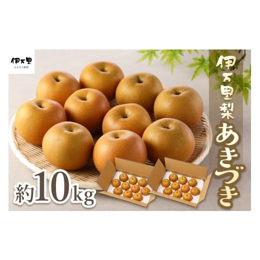 ふるさと納税 梨 佐賀県 伊万里市 2026年産先行予約 伊万里梨「あきづき」 約10kg 178-B945 フルーツ 果物 果実 くだもの