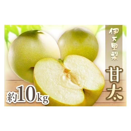 ふるさと納税 梨 佐賀県 伊万里市 2026年産先行予約 伊万里梨 「甘太」 約10kg ご自宅用におすすめ 178-B946 フルーツ 果物 果実 くだもの