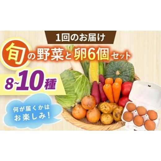 ふるさと納税 セット・詰合せ 長崎県 大村市  全3回定期便 採れたてお野菜おまかせ（8〜10種）・卵6個セット／ 野菜 やさい 野菜セット 野菜詰め合わせ 詰め合…_2