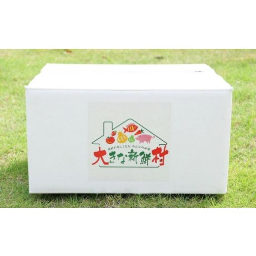 ふるさと納税 セット・詰合せ 長崎県 大村市  全3回定期便 採れたてお野菜おまかせ（8〜10種）・卵6個セット／ 野菜 やさい 野菜セット 野菜詰め合わせ 詰め合…_3