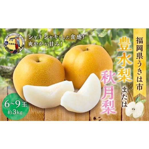 ふるさと納税 梨 福岡県 うきは市 先行予約 道の駅うきは 豊水梨 または 秋月梨 6玉から9玉 (約3kg) 2026年8月下旬から9月上旬 出荷予定 梨 なし ナシ 豊水…