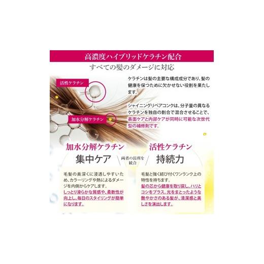 ふるさと納税 美容 奈良県 香芝市 ルミエア クレンジング200ml＆ヘアパック150g・シャイニング リペアローション 200ml セット｜リペア ヘアケア ダメージケア…の画像