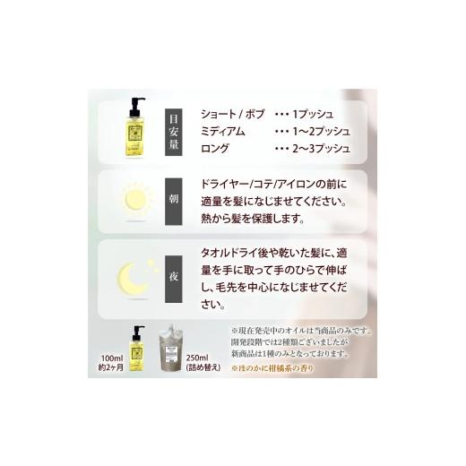 ふるさと納税 美容 奈良県 香芝市 ヴェルモア クレンジング 200ml＆ヘアパック150g・シャイニング リペアオイル 100ml セット｜リペア ヘアケア ダメージケア …の画像