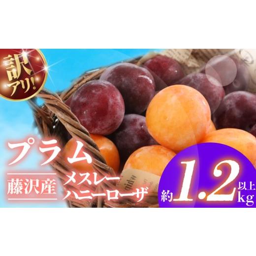 ふるさと納税 果物類 神奈川県 藤沢市 先行予約 プラム すもも 約1.2kg 以上 2026年6月上旬発送 開始 メスレー ハニーローザ 詰め合わせ 訳あり 訳アリ わけ…