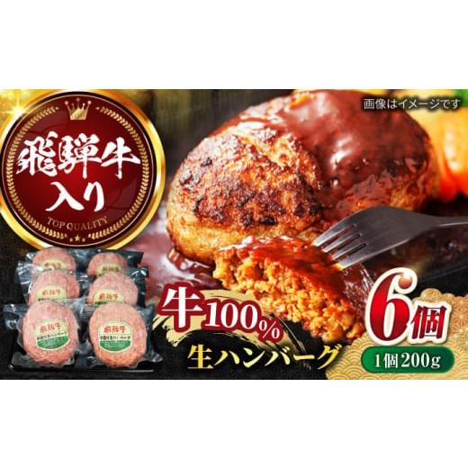 ふるさと納税 肉 ハンバーグ 岐阜県 岐阜市 4月発送 飛騨牛 生ハンバーグ(200g×6個)/ 飛騨牛 ひだぎゅう ハンバーグ はんばーぐ 牛肉 100% 手ごね 特大 …