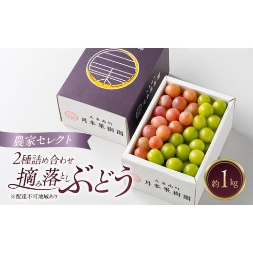ふるさと納税 果物類 ぶどう 岡山県 里庄町 岡山県産 摘み落としぶどう 農家セレクト2種詰め合わせ 約1kg 葡萄 ブドウ 岡山県産 オーロラブラック ピオーネ ク…
