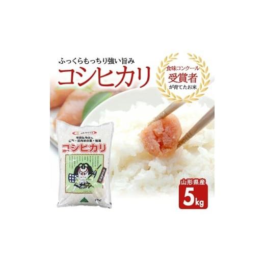 ふるさと納税 米 コシヒカリ 山形県 酒田市 コシヒカリ 5kg 令和7年産米 精米 山形県産 東北 山形県 酒田市 庄内地方 庄内平野 米 お米 白米 庄内米 こしひか…