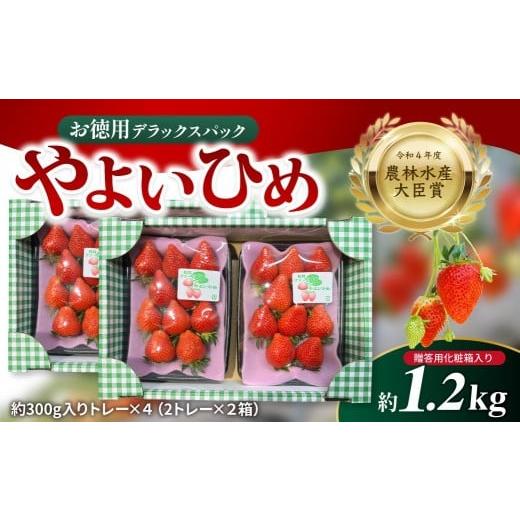 ふるさと納税 いちご 群馬県 前橋市 2026年先行予約 お徳用 やよいひめ デラックスパック 約300g×4パック | イチゴ 苺 高品質 フルーツ たっぷり 新鮮 完熟 …