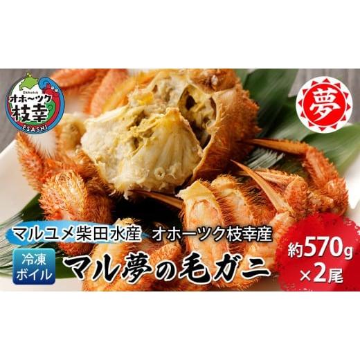ふるさと納税 カニ 毛ガニ 北海道 枝幸町 オホーツク枝幸産 マル夢の毛ガニ約570g×2尾 冷凍ボイル 柴田水産 枝幸産 毛ガニ 蟹 かに カニ 北海道 オホーツク …