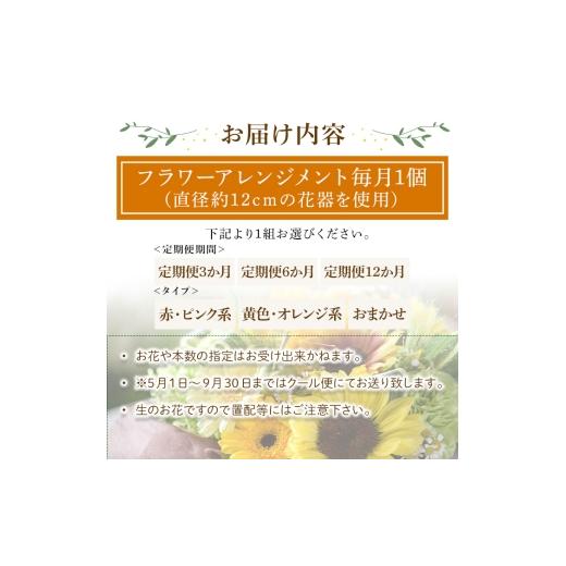 ふるさと納税 雑貨・日用品 花 大阪府 箕面市 フラワーアレンジメント(黄色オレンジ系・6ヶ月・毎月1個) m56-06-B6 Porte-Bonheur 黄色・オレンジ系 × 定期便…の画像