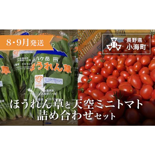 ふるさと納税 セット・詰合せ 長野県 小海町 わたらい農場 ほうれん草・天空ミニトマト詰め合わせセット| 野菜 新鮮 旬 新鮮 高原野菜 根菜 2026年発送 先行…