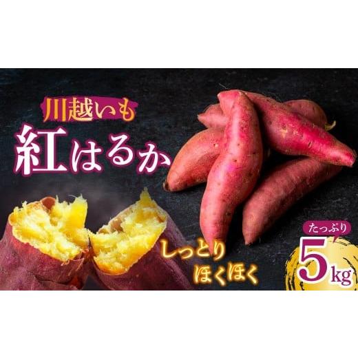 ふるさと納税 野菜類 サツマイモ 埼玉県 所沢市 さつまいも 紅はるか 5kg | さつまいも サツマイモ さつま芋 紅はるか べにはるか 焼き芋 やきいも いも イモ …