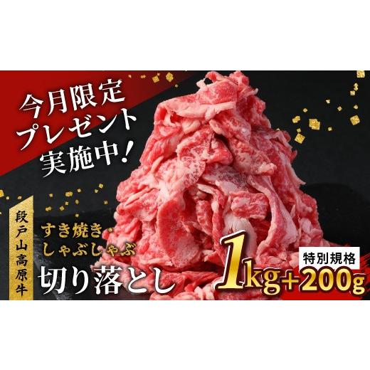 ふるさと納税 牛肉 愛知県 設楽町 特別規格 延長 2026年5月発送 国産ブランド牛 切り落とし 1.2Kg (200g×6) 小分け 段戸山高原牛 幻 牛 国産 牛肉 牛 スラ…