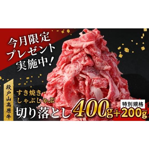ふるさと納税 牛肉 愛知県 設楽町 特別規格 延長 2026年5月発送 国産ブランド牛 切り落とし 600g (200g×3) 小分け 段戸山高原牛 幻 牛 国産 牛肉 牛 スライ…