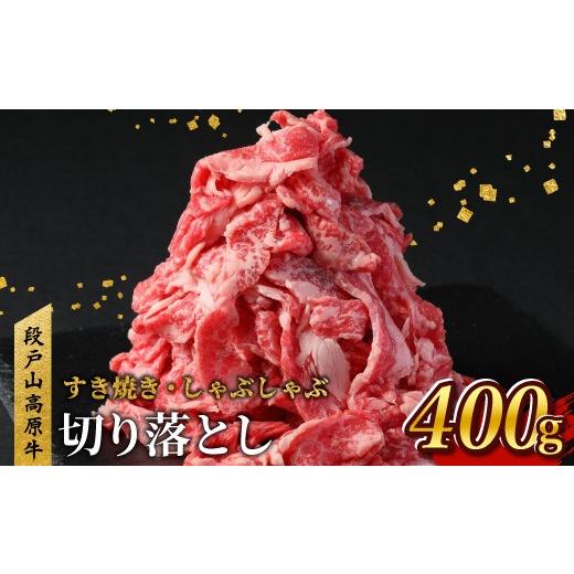 ふるさと納税 牛肉 愛知県 設楽町 2027年3月発送 国産ブランド牛 切り落とし 400g (200g×2） 小分け 段戸山高原牛 幻 牛 国産 牛肉 牛 スライス 地域 限定 小… |  | 01