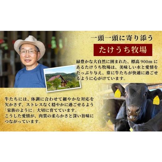 ふるさと納税 牛肉 愛知県 設楽町 2027年3月発送 国産ブランド牛 切り落とし 400g (200g×2） 小分け 段戸山高原牛 幻 牛 国産 牛肉 牛 スライス 地域 限定 小… |  | 05