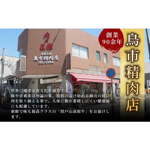 ふるさと納税 牛肉 愛知県 設楽町 2027年3月発送 国産ブランド牛 切り落とし 400g (200g×2） 小分け 段戸山高原牛 幻 牛 国産 牛肉 牛 スライス 地域 限定 小… |  | 06