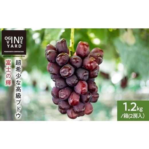 ふるさと納税 果物類 ぶどう 山梨県 南アルプス市 2026年秋収穫先行予約 山梨県産 富士の輝1.2kg/箱2房入 ALPAK020 1.2kg/2房:寄附金額30000円