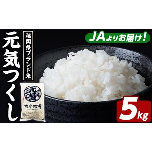 ふるさと納税 米 福岡県 芦屋町 福岡県ブランド米 元気つくし (5kg) お米 米 コメ おこめ こめ げんきつくし 白米 ごはん ご飯 福岡県産 ブランド米 常温 常温…