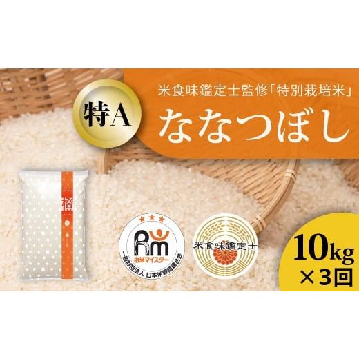 ふるさと納税 米 北海道 当麻町 北海道 農家直送 米食味鑑定士 三ツ星お米マイスター 栽培 監修 定期便 舟山農産 特別栽培米ななつぼし 令和7年産新米 1…