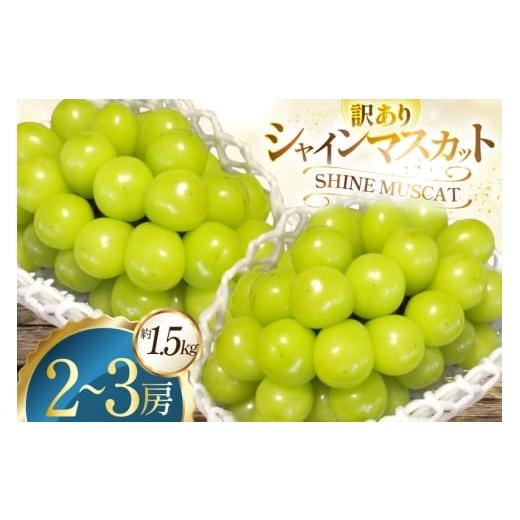 ふるさと納税 ぶどう マスカット 山形県 高畠町 期間限定発送 訳あり シャインマスカット 2〜3房 約 1.5kg ごとう農園 山形県 高畠町 tk06bcz270001 フルーツ…