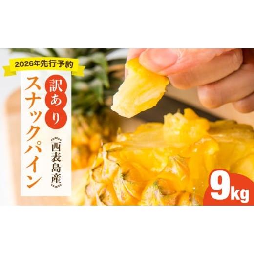 ふるさと納税 果物類 沖縄県 竹富町 訳あり 2026年先行予約 大きさ不揃いお得 箱にいっぱいスナックパイン9kgセット 9kg