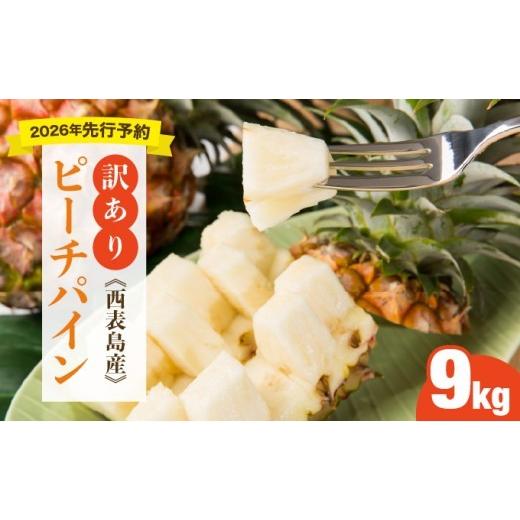 ふるさと納税 果物類 沖縄県 竹富町 訳あり 2026年 先行予約 大きさ不揃い お得 箱にいっぱいピーチパイン9kgセット 約9kg