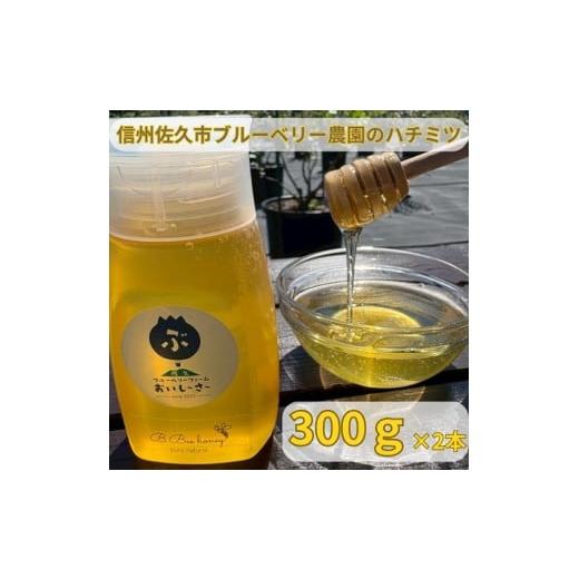 ふるさと納税 加工品等 はちみつ 長野県 佐久市 長野県産ハチミツ 600g（純粋・非加熱・天然100%） 信州 佐久市 無添加 国産 アカシア 蜂蜜 ハニー パン ヨー…の画像