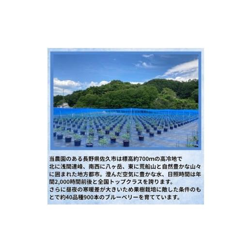 ふるさと納税 加工品等 はちみつ 長野県 佐久市 長野県産ハチミツ 600g（純粋・非加熱・天然100%） 信州 佐久市 無添加 国産 アカシア 蜂蜜 ハニー パン ヨー…の画像
