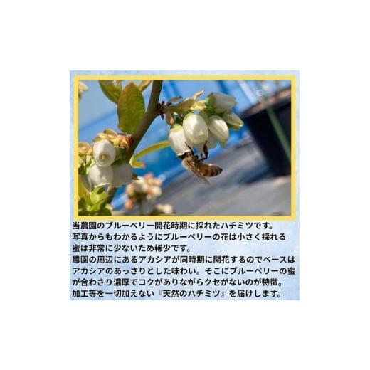 ふるさと納税 加工品等 はちみつ 長野県 佐久市 長野県産ハチミツ 600g（純粋・非加熱・天然100%） 信州 佐久市 無添加 国産 アカシア 蜂蜜 ハニー パン ヨー…の画像