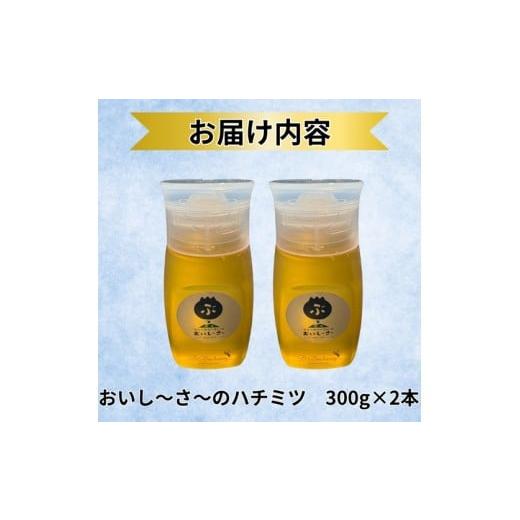 ふるさと納税 加工品等 はちみつ 長野県 佐久市 長野県産ハチミツ 600g（純粋・非加熱・天然100%） 信州 佐久市 無添加 国産 アカシア 蜂蜜 ハニー パン ヨー…の画像
