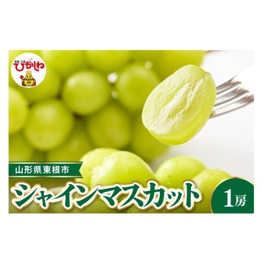 ふるさと納税 ぶどう マスカット 山形県 東根市 2026年産 先行受付 東根市産シャインマスカット 約700g(1房入) ベジフルひがしね 山形県 東根市 hi104-001 シ…