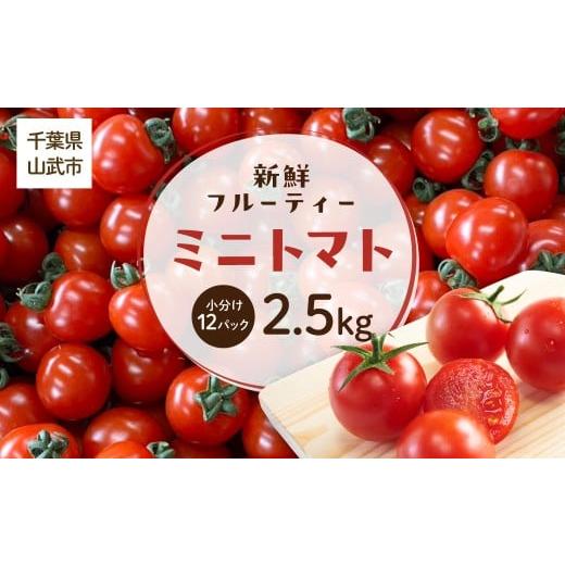 ふるさと納税 トマト ミニトマト 千葉県 山武市 先行予約 新鮮でフルーティーな小川ファームのミニトマト2.5kg(12パック入り) 発送期間は5月中旬〜7月中旬、9…