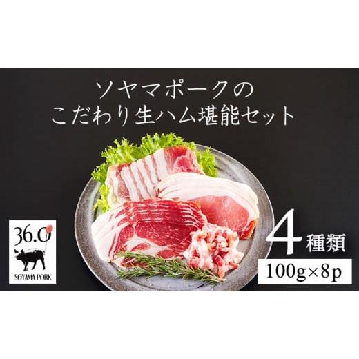 ふるさと納税 肉 ハム 宮崎県 高原町 ソヤマポークの生ハム堪能セット ロース バラ モモ パンチェッタ 肩ロース 熟成 おつまみ パーティー