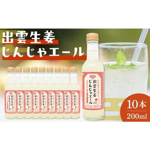 ふるさと納税 果汁飲料 やさい 島根県 出雲市 出雲生姜じんじゃエール10本セット