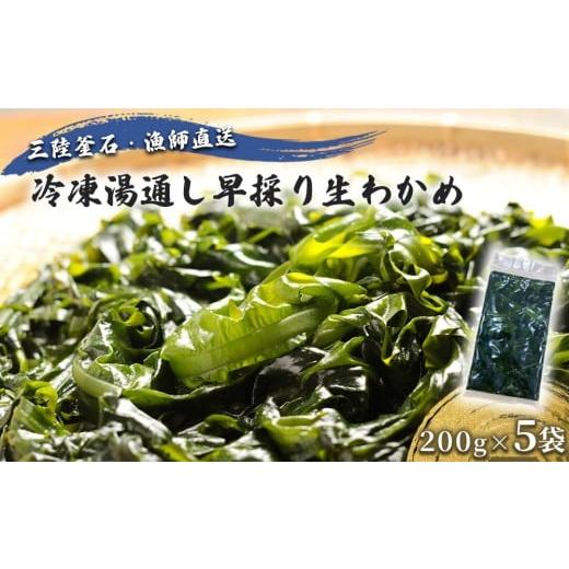 ふるさと納税 のり・海藻 わかめ 岩手県 釜石市 fc-72-041 三陸釜石・漁師直送 冷凍湯通し早採り生わかめ(200g×5袋) 1月下旬頃から3月下旬頃期間限定 お届け…