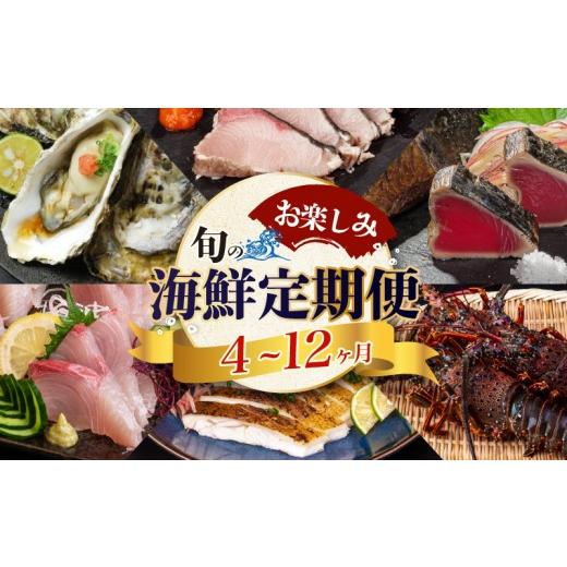 ふるさと納税 旬の鮮魚等 高知県 須崎市 須崎 の 鮮魚 定期便 旬 の 刺身 定期便 12回 コース 野島水産 が お届け | 下処理済み かつお かつおのたたき 藁焼…