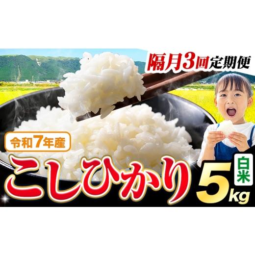 ふるさと納税 米 コシヒカリ 熊本県 苓北町 隔月3回定期便 令和7年産 白米 こしひかり 5kg[お申込み翌月から出荷]熊本県産 ふるさと納税 白米 精米 ひの 米…