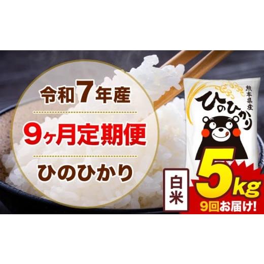 ふるさと納税 米 ヒノヒカリ 熊本県 菊池市 9ヶ月定期便 米 令和7年産 ひのひかり 白米 定期便 5kg [お申込み翌月から出荷]熊本県 菊池市 国産 熊本県産 白…