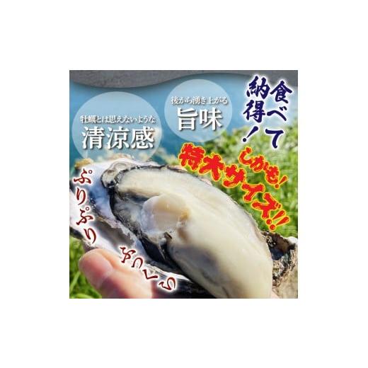 ふるさと納税 牡蠣 生牡蠣 大分県 国東市 牡蠣 生食用 殻付き くにさきオイスター 特大サイズ12個（殻付き重量150g〜／個）　カキ oyster 生牡蠣_2361R-1 「オ…_4