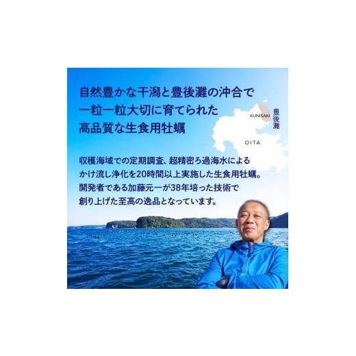 ふるさと納税 牡蠣 生牡蠣 大分県 国東市 牡蠣 生食用 殻付き くにさきオイスター 特大サイズ12個（殻付き重量150g〜／個）　カキ oyster 生牡蠣_2361R-1 「オ…_5