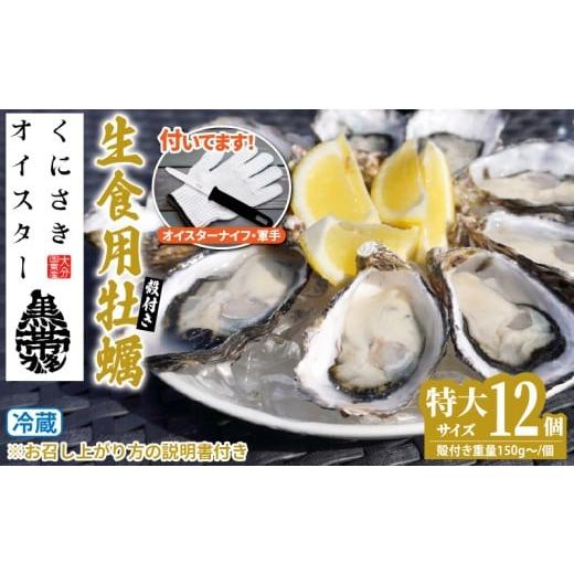 ふるさと納税 牡蠣 生牡蠣 大分県 国東市 牡蠣 生食用 殻付き くにさきオイスター 特大サイズ12個(殻付き重量150g〜/個) オイスターナイフ付き カキ oyst…