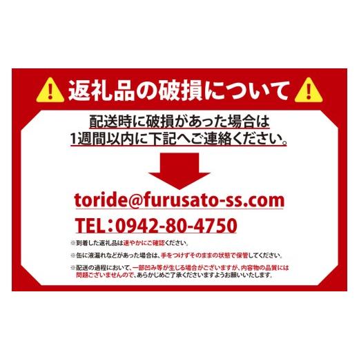 ふるさと納税 ビール 茨城県 取手市  奇数月6回定期便 キリン 本麒麟 取手工場産 350ml×24本|KIRIN 麒麟 発泡酒 本麒麟 定期便 茨城県 取手市（ZC086）の画像
