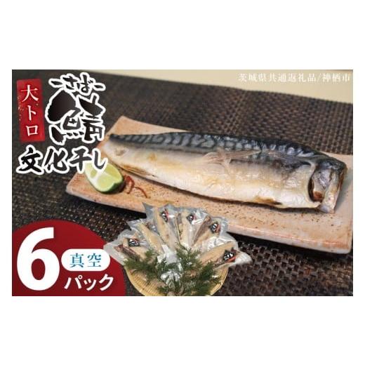 ふるさと納税 干物 サバ 茨城県 取手市 大トロさば文化干し 6パック 茨城県共通返礼品:神栖市 |鯖 サバ 干物 一夜干し 惣菜 おつまみ 冷凍 小分け 個包装 茨…