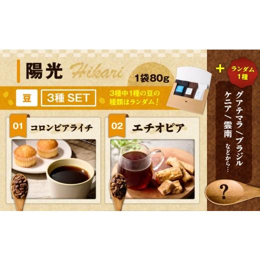 ふるさと納税 コーヒー コーヒー豆 神奈川県 三浦市  陽光 スペシャリティコーヒー豆3種セット　M123-008_4
