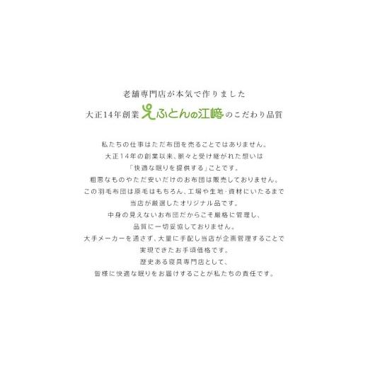 ふるさと納税 タオル・寝具 掛け布団 福岡県 久留米市 羽毛布団　ハンガリーホワイトダック93％　DP400　シングル（グレー：かるた遊び柄） _ 羽毛 掛け布団 …_3