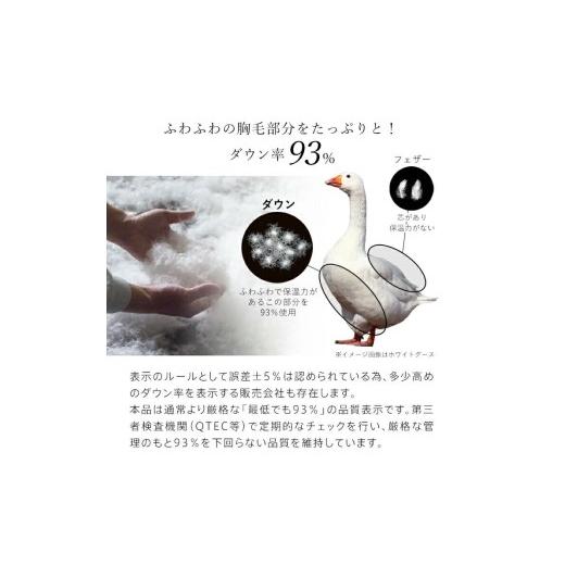 ふるさと納税 タオル・寝具 掛け布団 福岡県 久留米市 羽毛布団　ハンガリーホワイトダック93％　DP400　シングル（グレー：かるた遊び柄） _ 羽毛 掛け布団 …_4