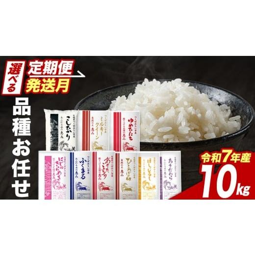 ふるさと納税 米 コシヒカリ 茨城県 つくばみらい市 2月下期出荷 品種おまかせ 10kg 茨城県つくばみらい市産 精米 こしひかり コシヒカリ あきたこまち ひと…