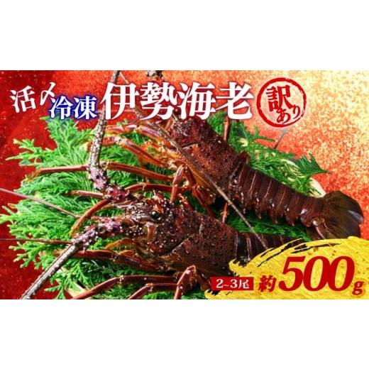 ふるさと納税 エビ 伊勢エビ 三重県 南伊勢町 訳あり 冷凍 伊勢海老 約500g 2〜3尾 活〆 伊勢えび 伊勢エビ イセエビ 海老 えび エビ ebi いせえび 魚介 海鮮 …