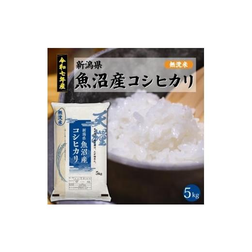 ふるさと納税 米 コシヒカリ 新潟県 新潟市 新潟県産コシヒカリ5kg 米 コメ こしひかり ブランド米 お取り寄せ 新潟市
